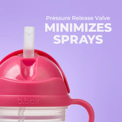 b.box + Lansinoh Sippy Cup