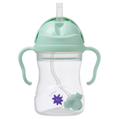 b.box + Lansinoh Sippy Cup